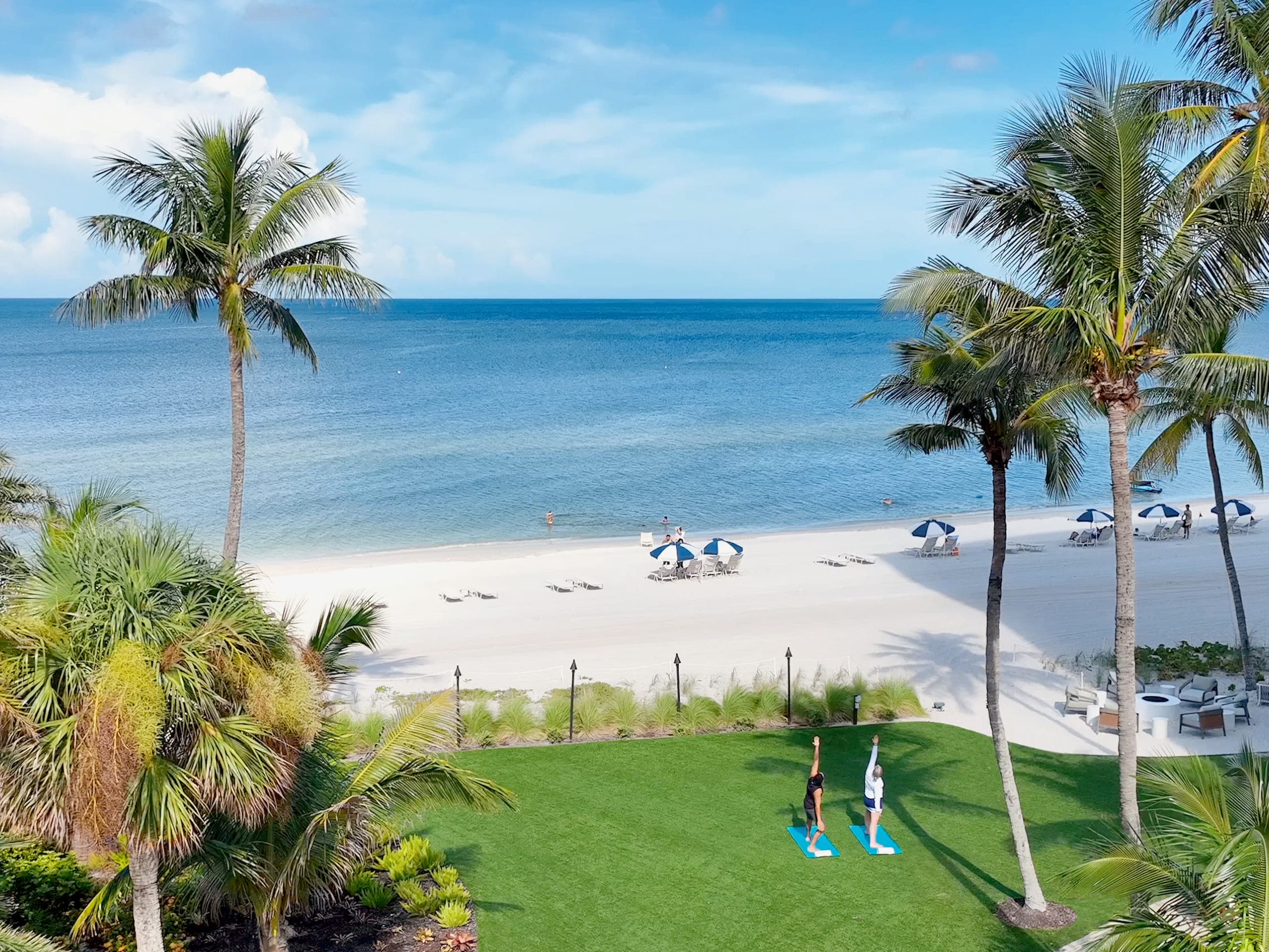 A view of the beach and lawn with people doing yoga and swimming